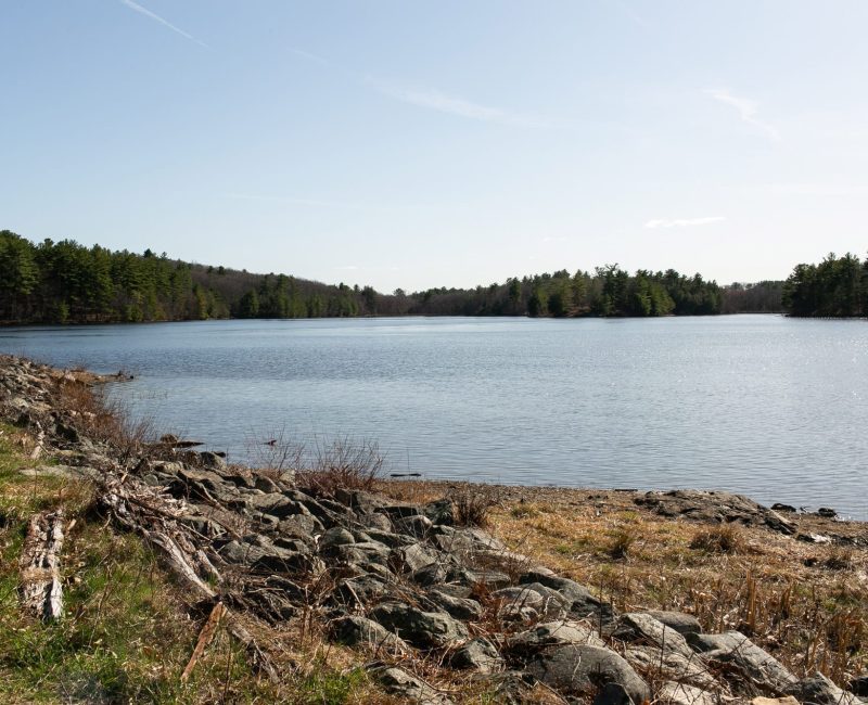 Mill Pond Reservoir and Conservation Area in Burlington, Massachusetts
