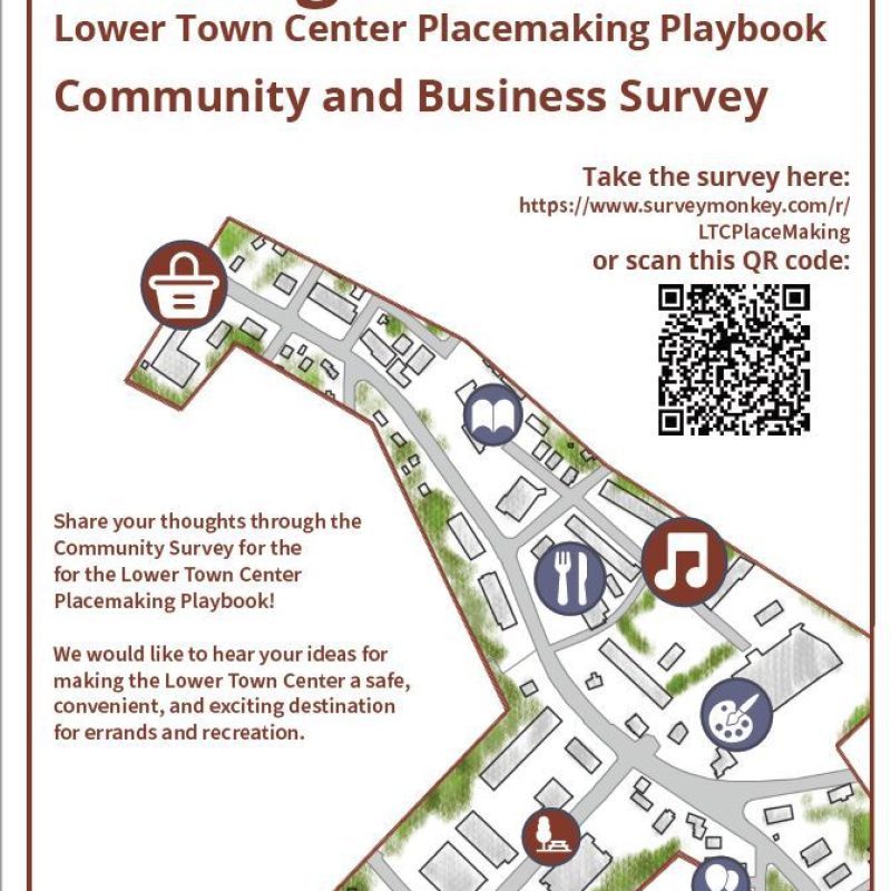 Lower Town Center Placemaking Playbook