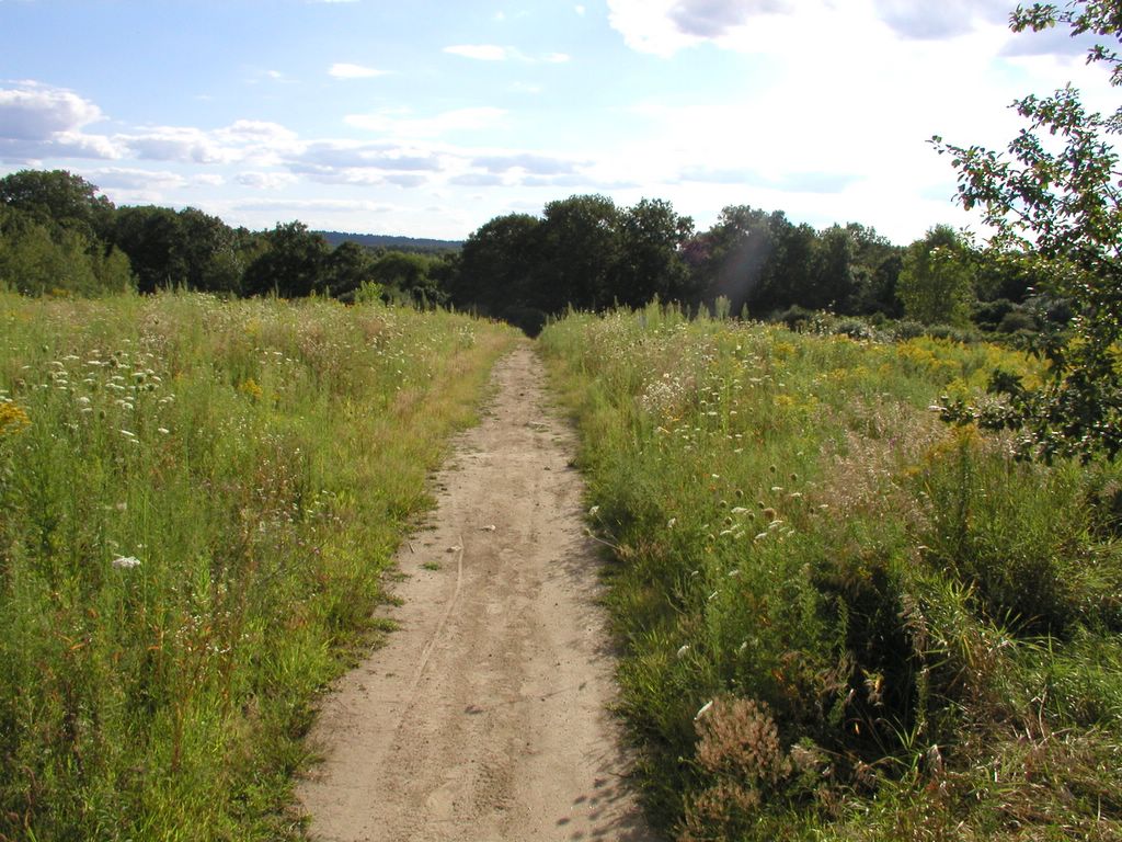 photo of a hiking trail in Mary Cummings Park