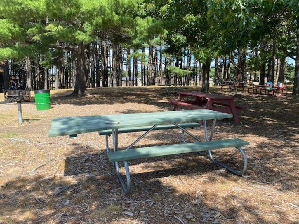 photo of a green park bench in Simonds Park