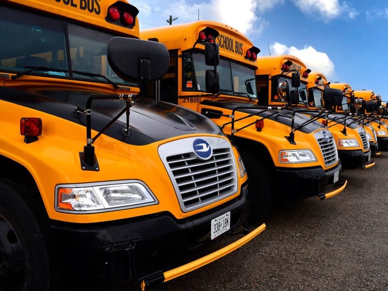 buses