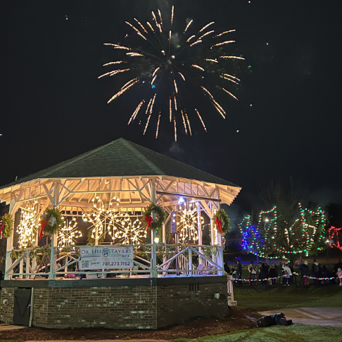Burlington Tree lighting